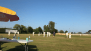 Pagham Cricket